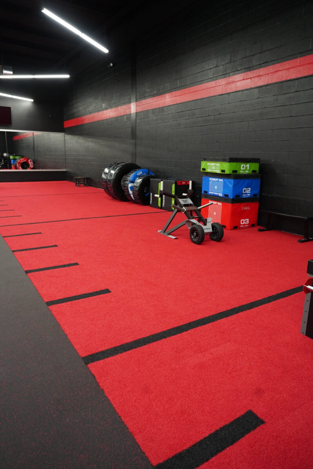 Turf, Gym, WIT Athletics, Indoor Turf, Premier Fitness Dodge City